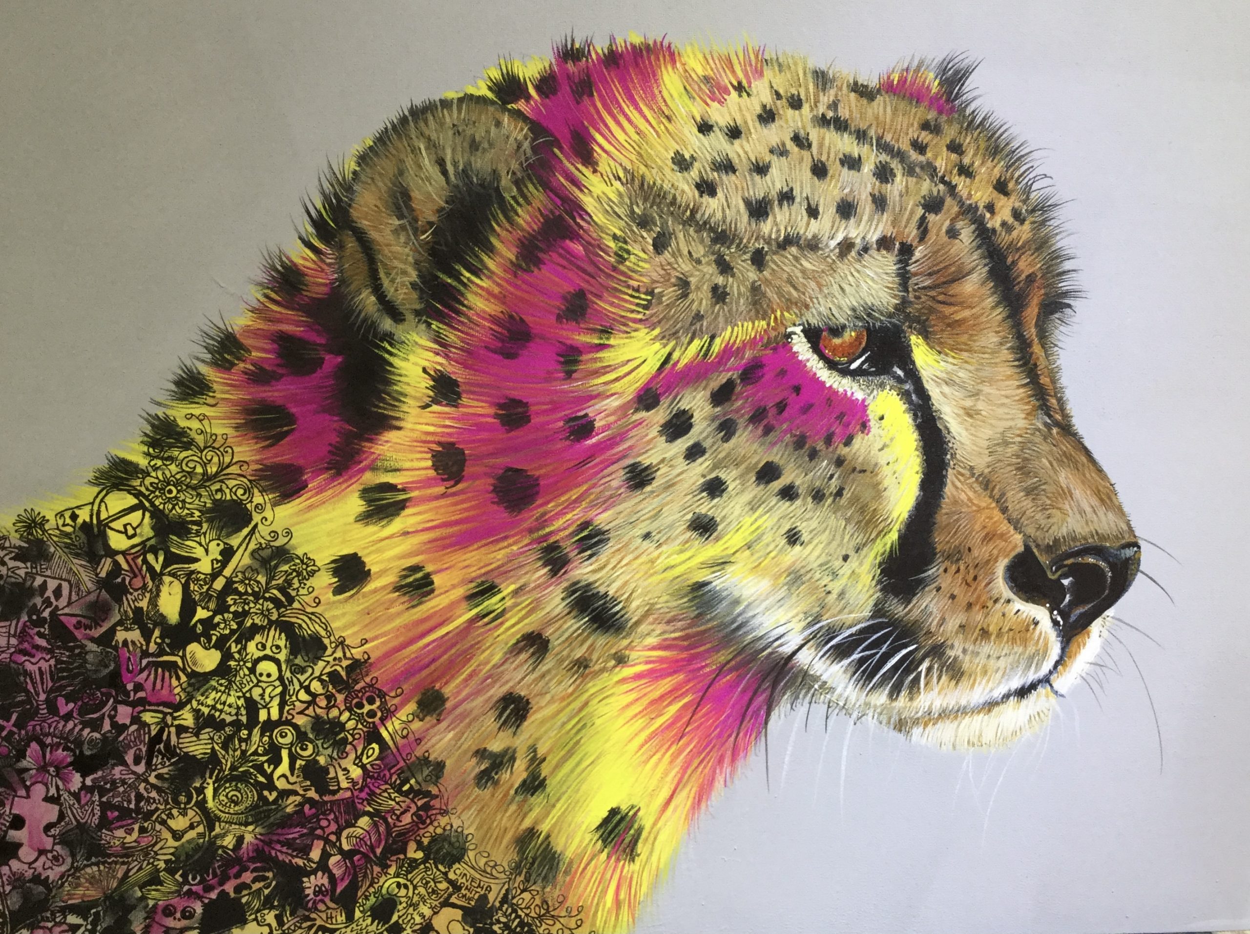 cheetah